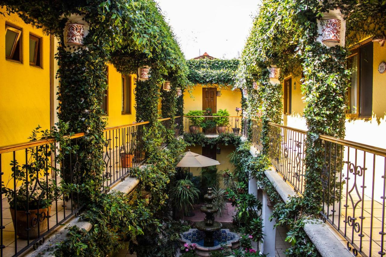 Hotel Dainzu Oaxaca Exteriér fotografie