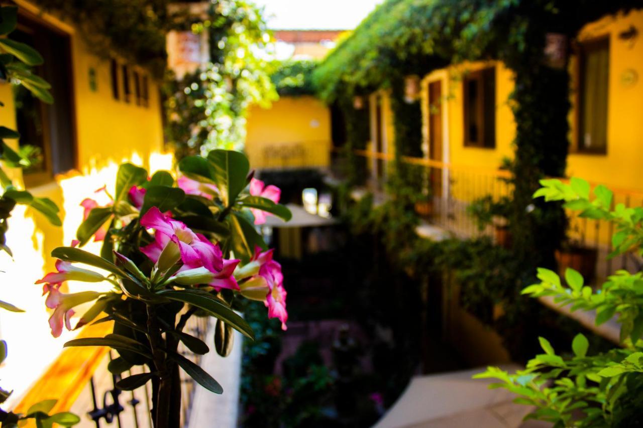 Hotel Dainzu Oaxaca Exteriér fotografie